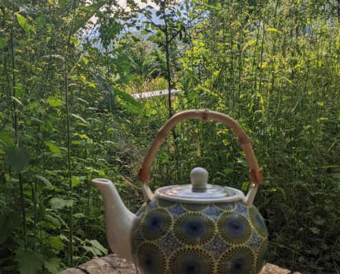 jardin espace détente banc marronnier